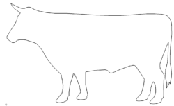 Stier - Taurus