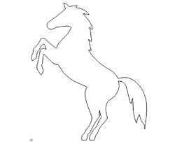 Pferd - Horse