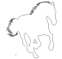 Pferd - Horse