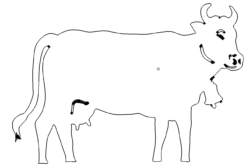 Kuh - Cow