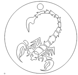 Scorpion Schlüsselanhänger - Scorpion Key Chain