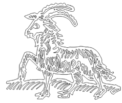 Sternzeichen Steinbock - Zodiac Sign Capricorn