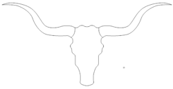 Bullenkopf - Bull Head