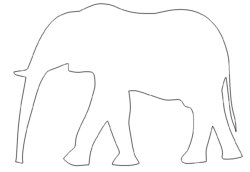 Elefant