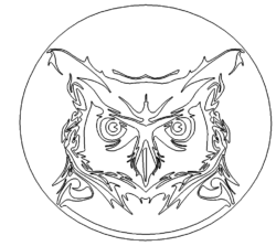 Eule - Owl