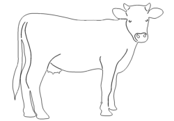 Kuh Bild - Cow